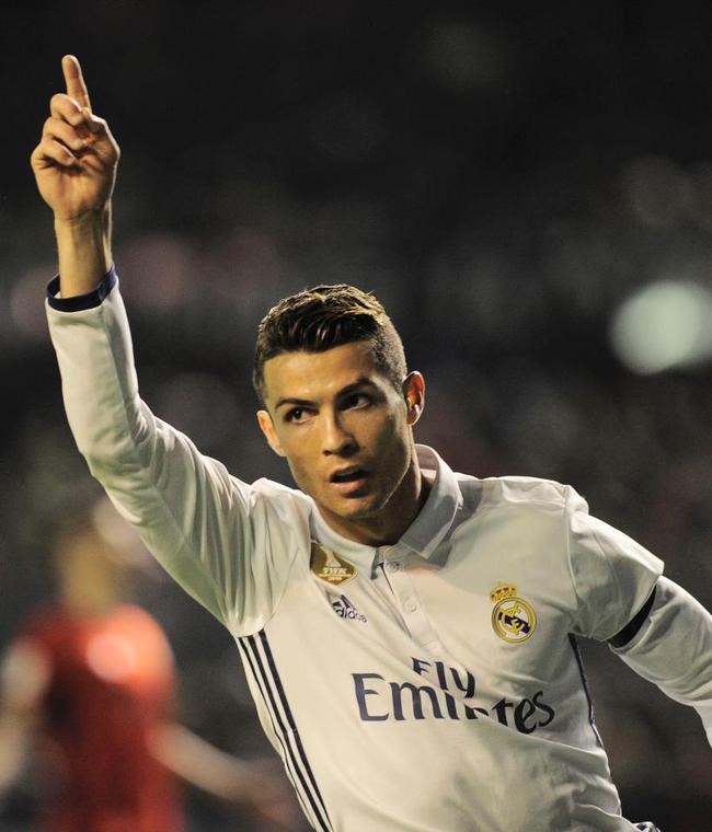 FL职业生 FL职业生